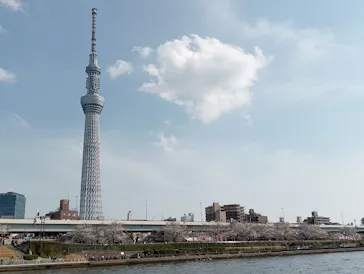 東京スカイツリーに投稿された画像（2025/3/30）