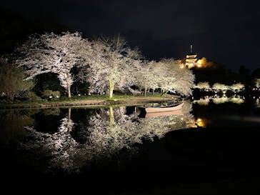 三溪園に投稿された画像（2025/3/30）