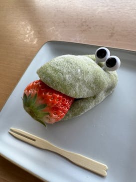 熱川バナナワニ園に投稿された画像（2025/3/30）