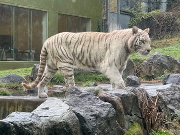 伊豆アニマルキングダムに投稿された画像（2025/3/30）