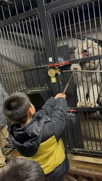 伊豆アニマルキングダムに投稿された画像（2025/3/30）