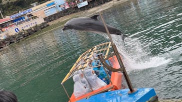 下田海中水族館に投稿された画像（2025/3/30）