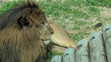 多摩動物公園に投稿された画像（2025/3/30）