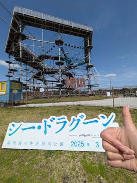 シー・ドラグーンに投稿された画像（2025/3/30）