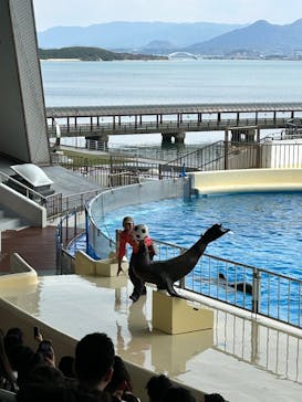 マリンワールド海の中道に投稿された画像（2025/3/30）