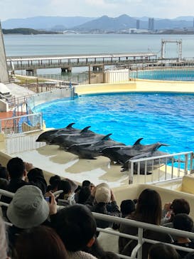 マリンワールド海の中道に投稿された画像（2025/3/30）