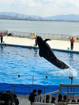 マリンワールド海の中道に投稿された画像（2025/3/30）