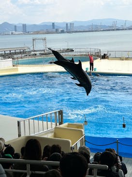 マリンワールド海の中道に投稿された画像（2025/3/30）