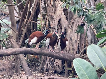 那須どうぶつ王国に投稿された画像（2025/3/30）