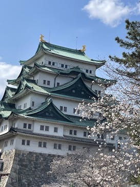 名古屋城に投稿された画像（2025/3/30）