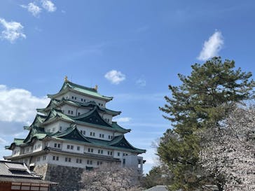 名古屋城に投稿された画像（2025/3/30）