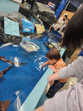竹島水族館に投稿された画像（2025/3/31）
