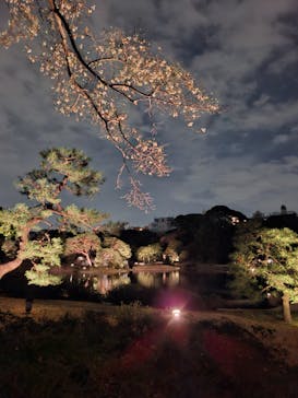 六義園に投稿された画像（2025/3/31）