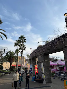 ひらかたパークに投稿された画像（2025/3/31）