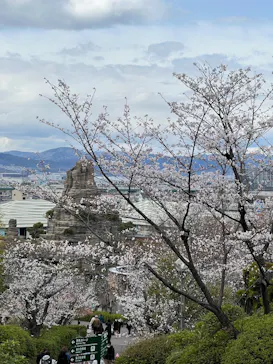 ひらかたパークに投稿された画像（2025/3/31）