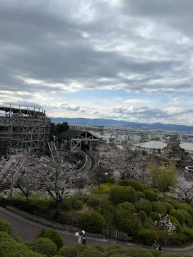 ひらかたパークに投稿された画像（2025/3/31）