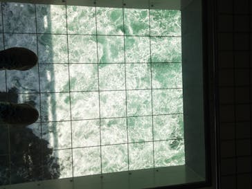 徳島県立 渦の道に投稿された画像（2025/3/31）