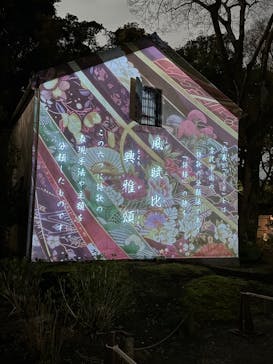 六義園に投稿された画像（2025/3/31）