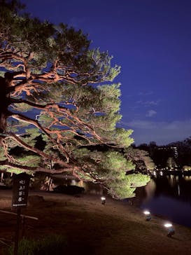 六義園に投稿された画像（2025/3/31）