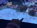 サンシャイン水族館に投稿された画像（2025/3/31）