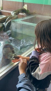 箱根園水族館に投稿された画像（2025/3/31）