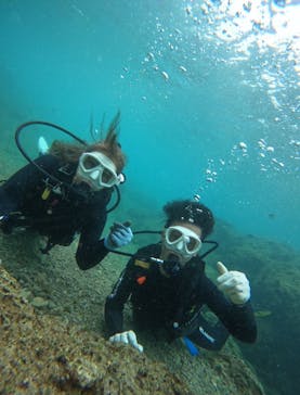 武藤潜水に投稿された画像（2025/3/31）