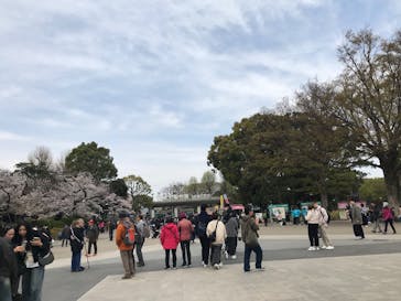 恩賜上野動物園に投稿された画像（2025/3/31）