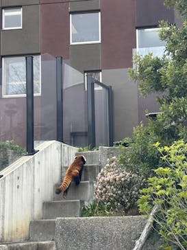 名古屋市東山動植物園に投稿された画像（2025/3/31）