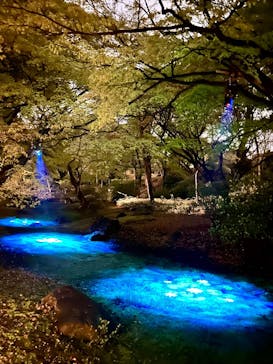 六義園に投稿された画像（2025/3/31）