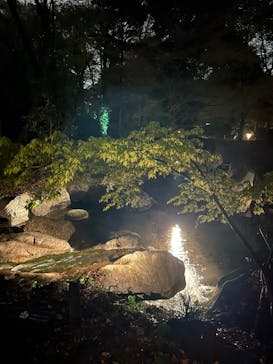 六義園に投稿された画像（2025/3/31）