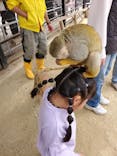 宇都宮動物園に投稿された画像（2025/3/31）