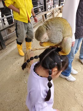 宇都宮動物園に投稿された画像（2025/3/31）
