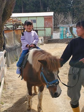 宇都宮動物園に投稿された画像（2025/3/31）