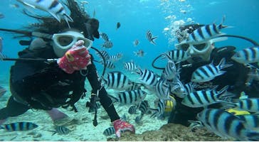 青の洞窟専門店　沖縄ダイビングショップ和に投稿された画像（2025/3/31）