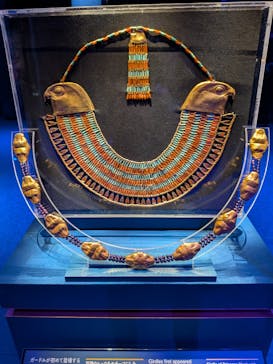 ACN ラムセス大王展 ファラオたちの黄金に投稿された画像（2025/3/31）