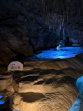 おきなわワールドに投稿された画像（2025/3/31）