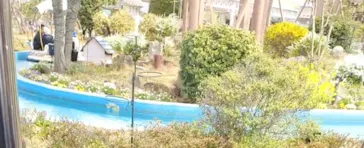 ひらかたパークに投稿された画像（2025/3/31）