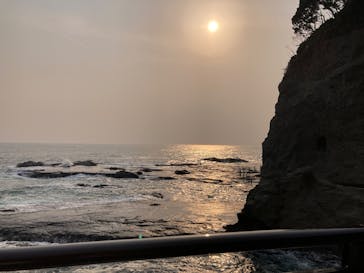 江の島シーキャンドル×新江ノ島水族館に投稿された画像（2025/3/31）