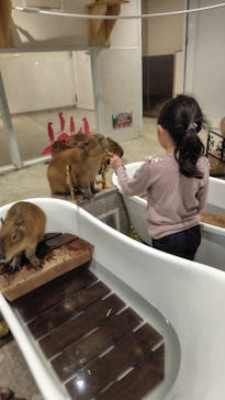 アニタッチ 東京ドームシティに投稿された画像（2025/3/31）