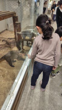 アニタッチ 東京ドームシティに投稿された画像（2025/3/31）