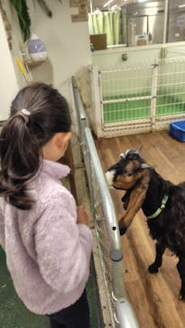 アニタッチ 東京ドームシティに投稿された画像（2025/3/31）