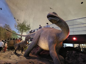 福井県立恐竜博物館に投稿された画像（2025/3/31）