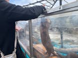 大分マリーンパレス水族館 「うみたまご」に投稿された画像（2025/3/31）