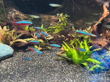 サンシャイン水族館に投稿された画像（2025/3/31）