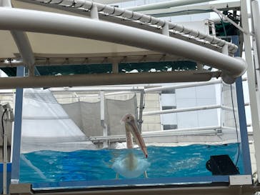 サンシャイン水族館に投稿された画像（2025/3/31）