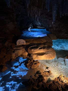 おきなわワールドに投稿された画像（2025/3/31）