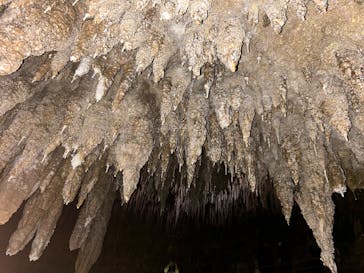 おきなわワールドに投稿された画像（2025/3/31）