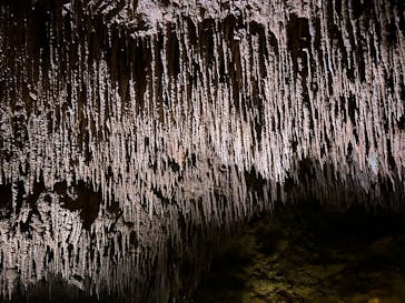 おきなわワールドに投稿された画像（2025/3/31）