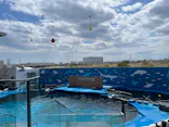 仙台うみの杜水族館に投稿された画像（2025/3/31）