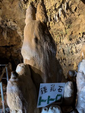 石垣島鍾乳洞に投稿された画像（2025/3/31）